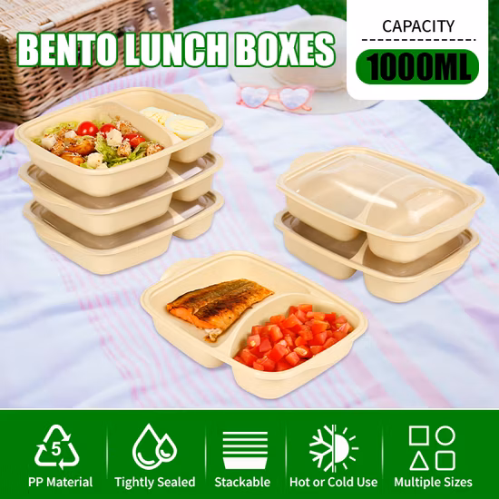 뜨거운 판매 공장 직접 판매 식품 용기 샐러드 도시락 뚜껑 누출 방지 상자가있는 도시락 상자 전자 레인지 플라스틱 주입 제품 식품 상자